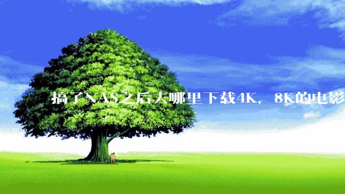 搞了NAS之后去哪里下载4K，8K的电影？