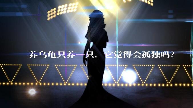 养乌龟只养一只，它觉得会孤独吗？