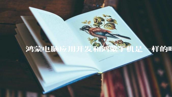 鸿蒙电脑应用开发和鸿蒙手机是一样的吗？