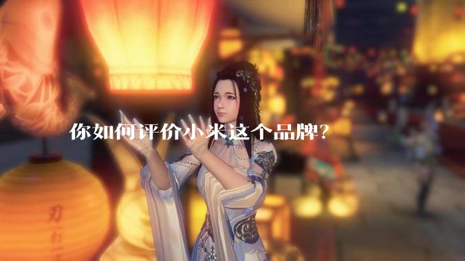 你如何评价小米这个品牌？
