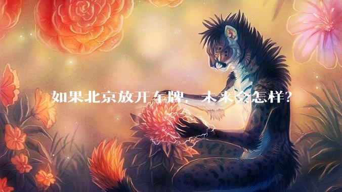如果北京放开车牌，未来会怎样？
