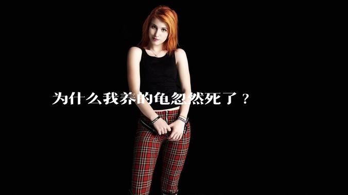 为什么我养的龟忽然死了?