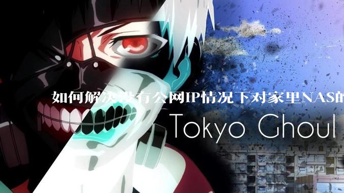 如何解决没有公网IP情况下对家里NAS的高速远程访问？