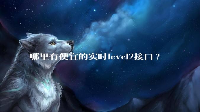 哪里有便宜的实时level2接口?